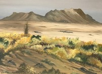 desert mesa.jpg